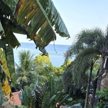 Pozemek 25 Roatán